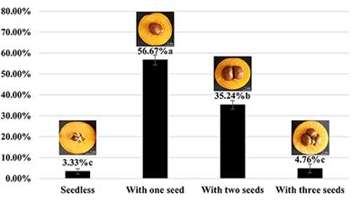 Low Female Gametophyte Fertility Contributes to the Low Seed Formation of the Diploid Loquat [Eriobotrya Japonica (Thunb.) Lindl.] Line H30-6